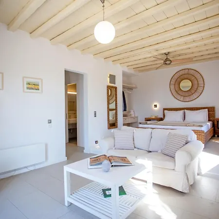 Villa South Star Private Mykonos Town